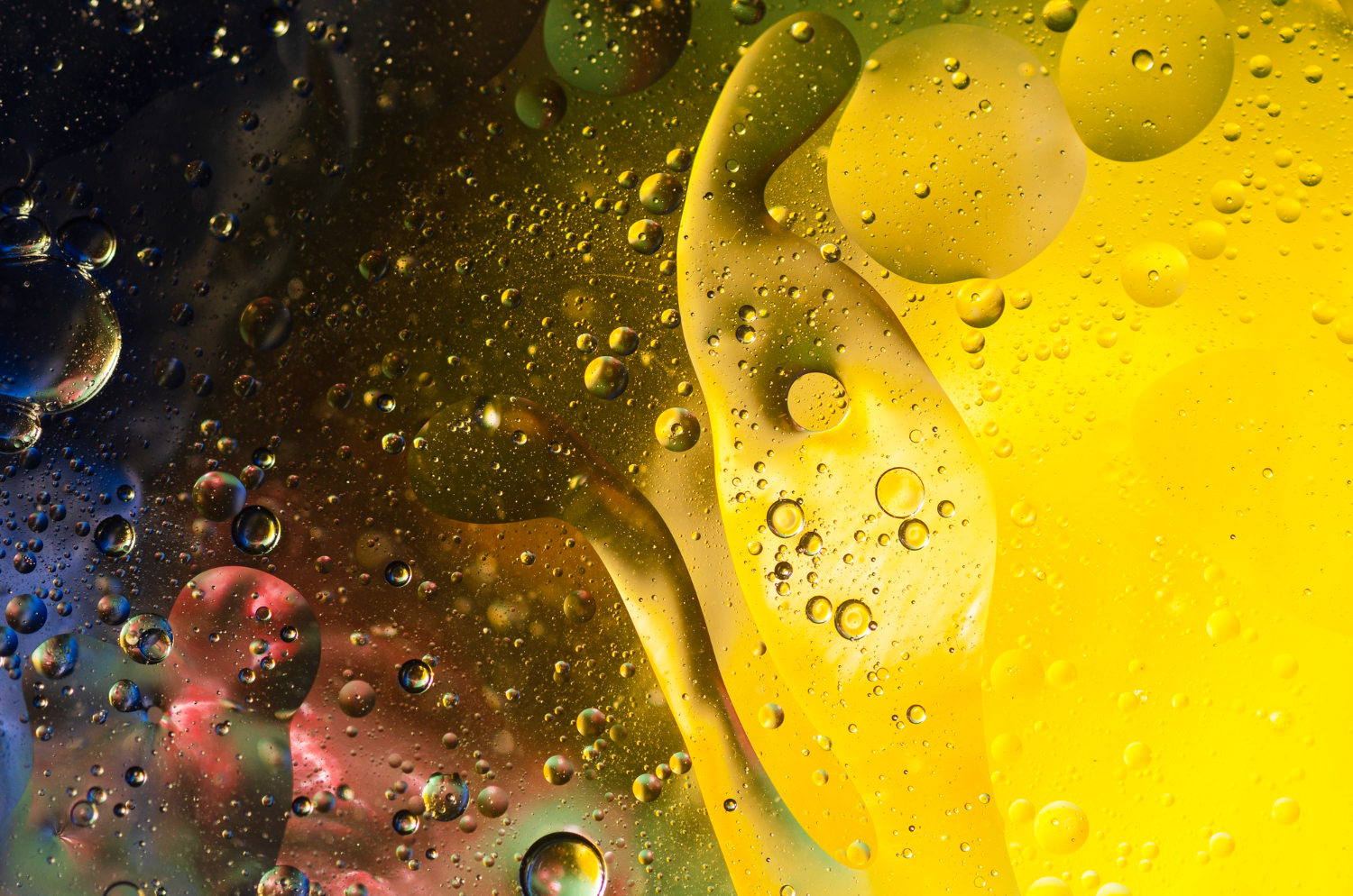 Lubrificazione dell’olio: gli strumenti e le attrezzature adatte alle proprie esigenze industriali